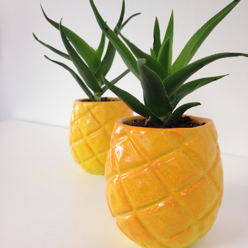 pineapple succulent pot